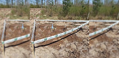 Sadzili las. Natknęli się na coś, co mrozi krew w żyłach. Na miejsce ruszyli...