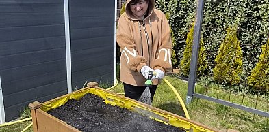 Między ziemią a spokojem. Ogród wraca do życia