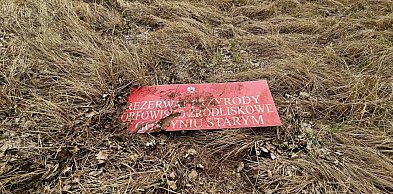 Rezerwat tylko na papierze? Dziś trwa dyskusja, co z tego miejsca zostało