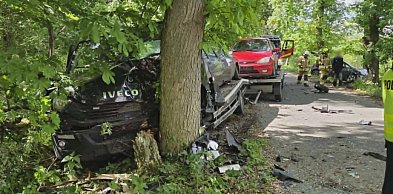 Wszystko działo się na łuku drogi. Po zderzeniu pojazdy uderzyły w drzewa