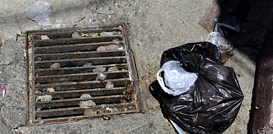 Skończy się świętowanie, zacznie odszczurzanie! To będzie akcja na szeroką skalę