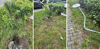 W środku nocy usłyszeli hałas! To co zobaczyli przed domem, miłe nie było
