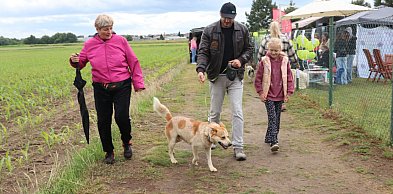 Niektóre bały się nawet spojrzeć na człowieka. Dziś mogą trafić do nowych domów