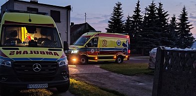 Pies uratował im życie? Trudno nie nazwać go bohaterem, napisali strażacy