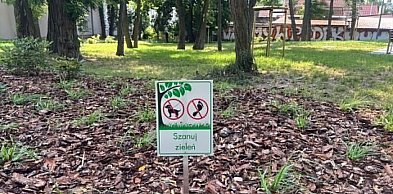 Dbają o to miejsce każdego dnia. Pojawiły się kolejne nowości