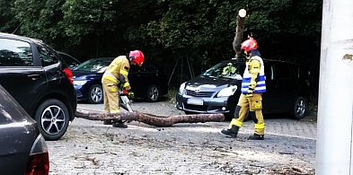 Drzewo runęło na samochód! To nie była pierwsza taka sytuacja przy basenie-82596