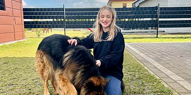 Nowa behawiorystka w Gostyniu. Pomaga budować relację opartą na zaufaniu-82630