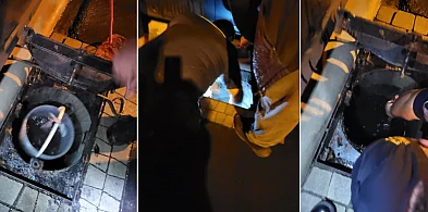 Nietypowa interwencja w Gostyniu! Kluczem do jej przeprowadzenia było...-82802