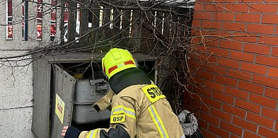 Alarm w centrum Pępowa! Straż pożarna wskazuje że to mógł być zakład mięsny-83960