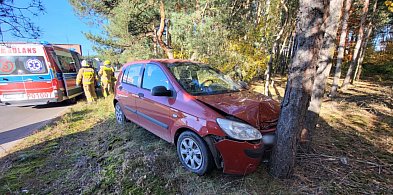 Auto rozbite o drzewo! Kierująca mogła doznać ataku... W akcji wszystkie służby-84119