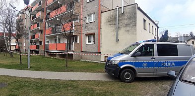 Śremscy policjanci poszli za tropem. Ślad prowadził do Gostynia. 28-latek...-84317