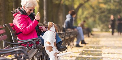 Polska się kurczy. Statystycy biją na alarm! Wiadomo ilu nas będzie w 2060...-84392