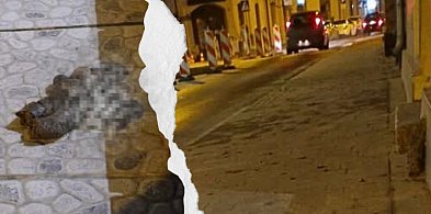 Żenujący ślad wstydu! W centrum miasta, ktoś chyba zgubił resztki przyzwoitości-84671