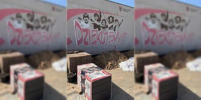 Zniknął pod styropianem, co nie umknęło mieszkańcom. Ale to nie koniec historii-84797