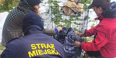 Zobaczyli go pod domem i wiedzieli, że jest źle. Dzięki nim dostał drugą szansę-85257