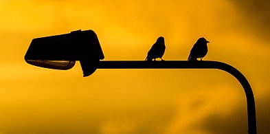 Przez ponad tydzień widzieli tylko ciemność. Takich miejsc było więcej-85422