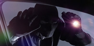 Grinch? Raczej nie. Ale ktoś kradnie świąteczne ozdoby na gostyńskim...-85962