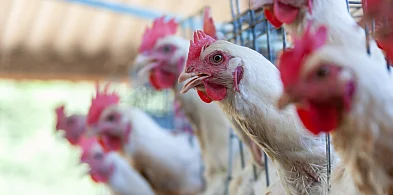 Zagrożenie rośnie! Na liście są konkretne miejscowości z powiatu gostyńskiego-85923