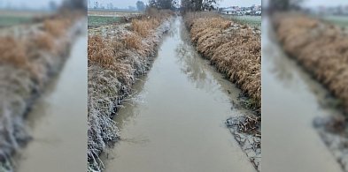 Niepokojący widok w święta. Kaczki zniknęły, a woda w Kani zmieniła kolor...-86146