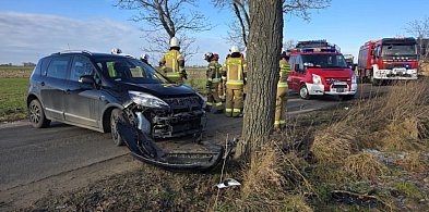 Auto wbiło się w drzewo. Kierowca jechał sam. Możliwe, że nagłe zasłabł ...-86323