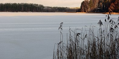 Nie ma żadnego haczyka. Taka akcja, to dobry przykład do naśladowania-86707