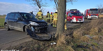 Uderzył w drzewo, był nieprzytomny... Dopiero teraz wyniki badań ujawniły prawdę