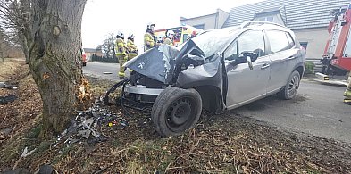 Auto roztrzaskało się o drzewo. Kierowca w szpitalu. Mówi, że nie pamięta nic