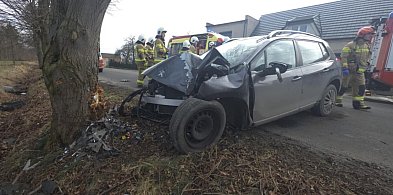 Samochód osobowy uderzył w drzewo. Na miejscu zdarzenia działają służby