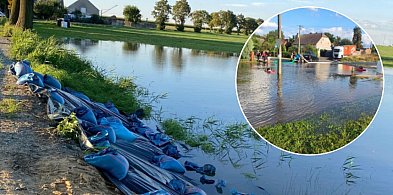 W sierpniu 2024 roku, Daria Wyzuj miała złożyć im obietnicę. Teraz chcą informacji