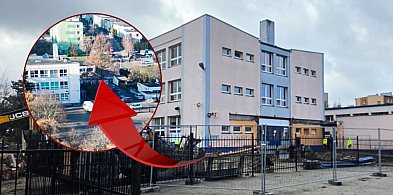 Przez lata urosła do rangi symbolu szkoły. Dlaczego metasekwoja zniknęła?