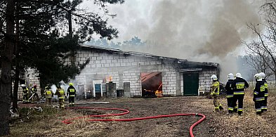 Duża akcja gaśnicza pod Dolskiem. Pomagali strażacy z naszego powiatu...