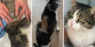 Kiedy okrucieństwo staje się zabawą, a człowiek potworem… Nie odpuszczą tego