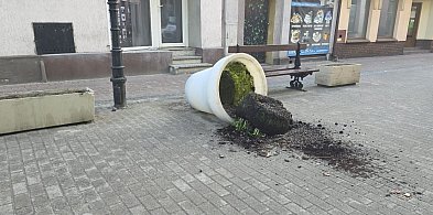 Ziemia wysypana, rośliny zniszczone. Czytelnik: "Kogoś poniosła fantazja"