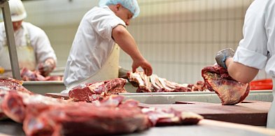 Napięcie wokół zakładów produkujących dla DINO. Związkowcy chcą to ujawnić