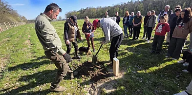 Każdy mógł zostawić ślad na setki lat. Tu wspomnienia zapuszczają korzenie