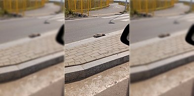 Od kilku dni leży tak przy rondzie. W tle ostrzeżenia i groźne komunikaty...