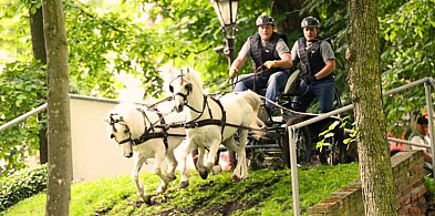 Rokosowo Horse Show! Konie, powozy, zamkowa sceneria i sporo atrakcji...