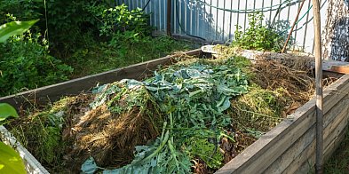 Nie kompostujesz bioodpadów? Szykuj się na wyższą...-82612