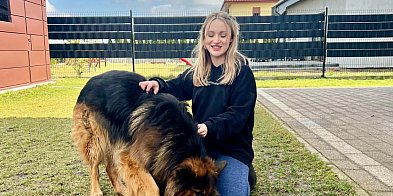 Nowa behawiorystka w Gostyniu. Pomaga budować relację opartą na zaufaniu-82630