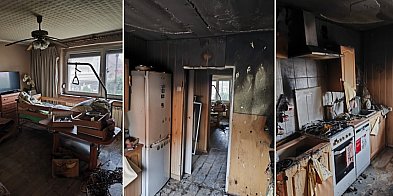 Seniorce zawalił się świat. Pomóż go odbudować...-82673