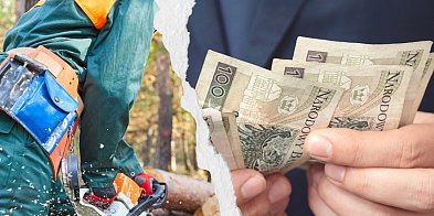 Lasy Państwowe czy prywatny folwark? Zarobki jak w korporacji. Szokujące...-82681