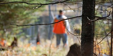 Lepiej omijać te miejsca z daleka! Zwłaszcza teraz, gdy-84185