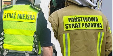 To nie jest praca dla wszystkich. Dwie gostyńskie formacje szukają ludzi...-84413