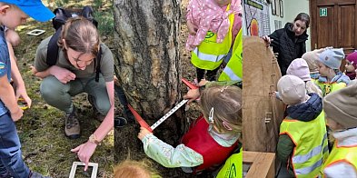 Las dla wszystkich – leśnik dla lasu-84623