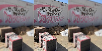 Zniknął pod styropianem, co nie umknęło mieszkańcom...-84797