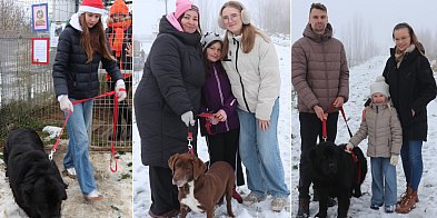 Chcieli, by były zauważone. Udało się! Tłumy w ...-85224