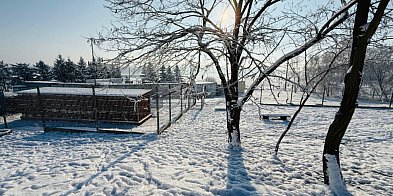 Tu nie chodzi o wygodę, lecz o problem. Zbierają ...