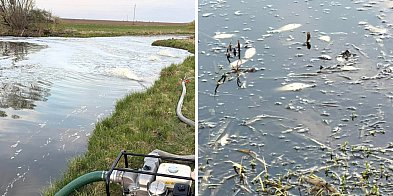 Skażenie pod Piaskami. Woda zmieniła kolor, potem...