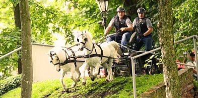 Rokosowo Horse Show! Konie, powozy, zamkowa sceneria i