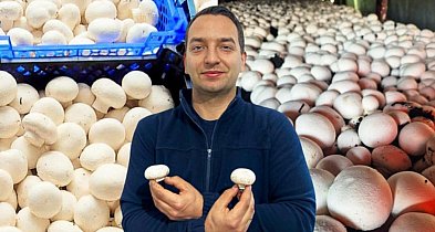 Wybierają tylko te ładne i zdrowe. Klient od razu widzi różnicę. Do tego dobra...-85419